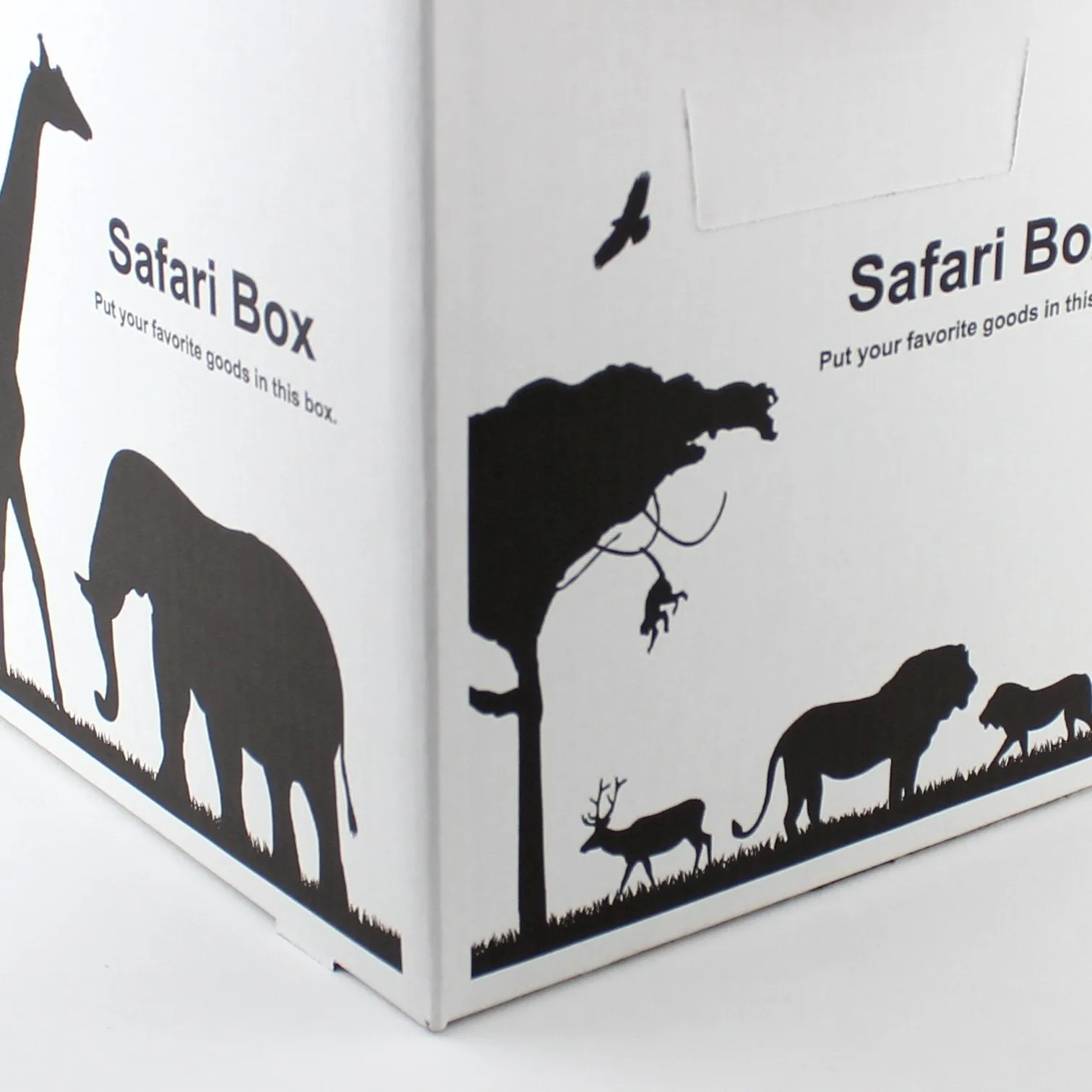 A4 Storage Box