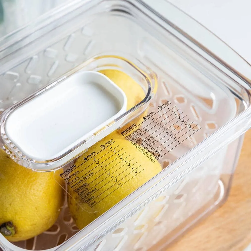 Transparent Refrigerator Food Storage Containers with Drainer