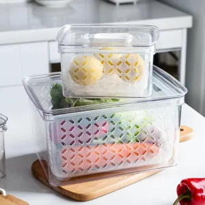 Transparent Refrigerator Food Storage Containers with Drainer