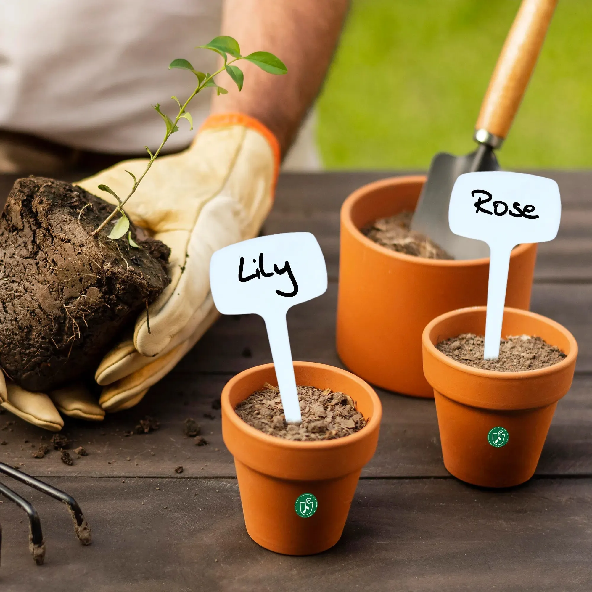 Urban Plant Gardening Name Tag  - (Set of 10)